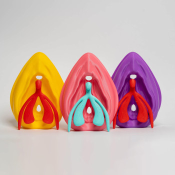 Kit éducatif  Vulve+clitoris