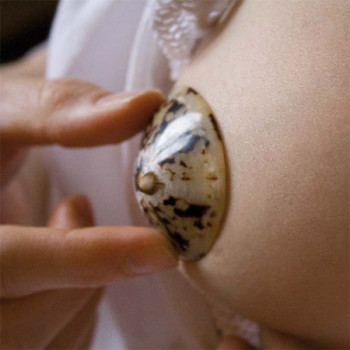 Nursing shells