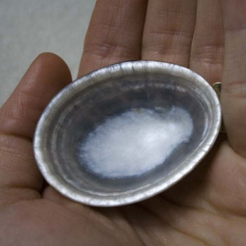 Coquillages d'allaitement